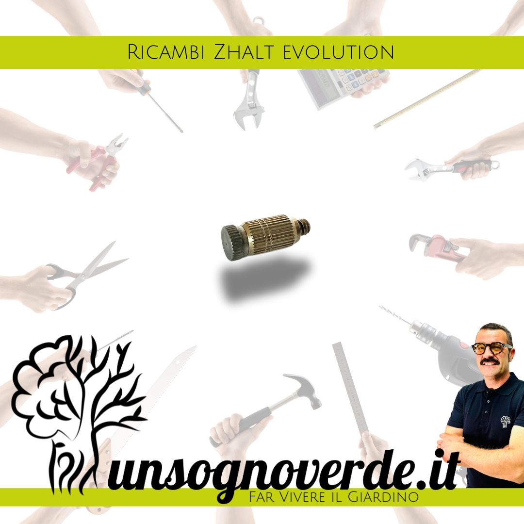 UGELLO ZHALT EVOLUTION